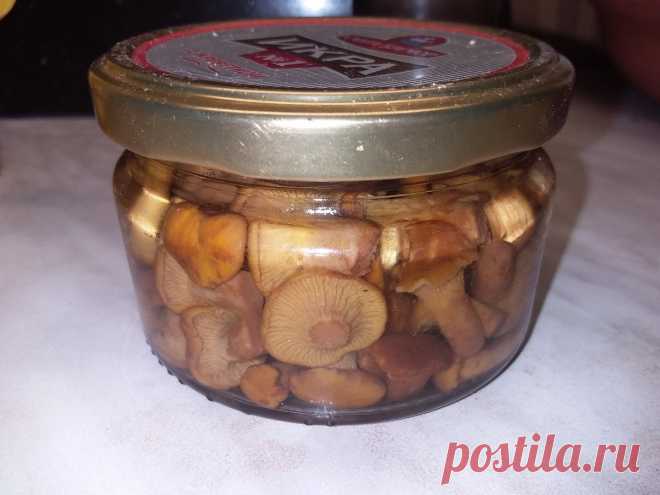 Вкусный рецепт маринованных лисичек. Грибы быстро готовятся, с аппетитом съедаются | грибной критик | Дзен