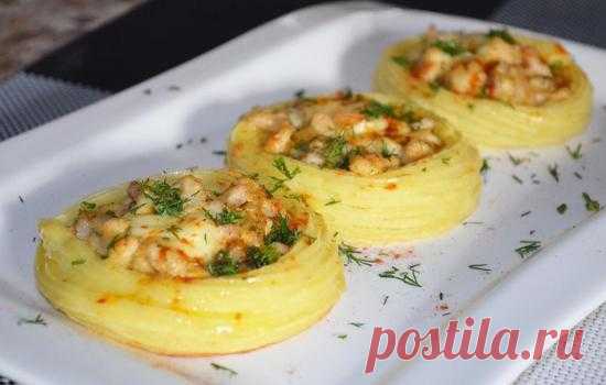 Рецепты картофеля с куриным фаршем в духовке: секреты выбора