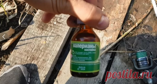 3 аромата из аптечки для рыбалки. Главное - чтобы жена не увидела | Рыбалка. Советы и размышления | Яндекс Дзен
