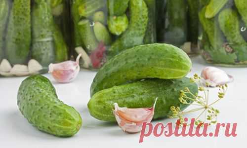 Огурцы маринованные хрустящие – Всё про заготовки на зиму