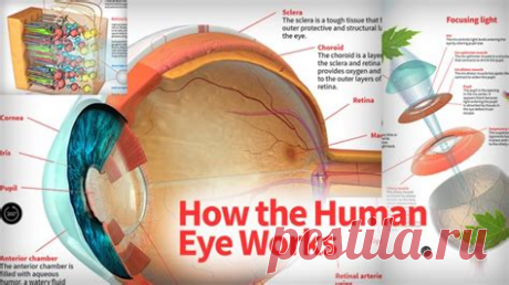 Animagraffs. – Qwant Search