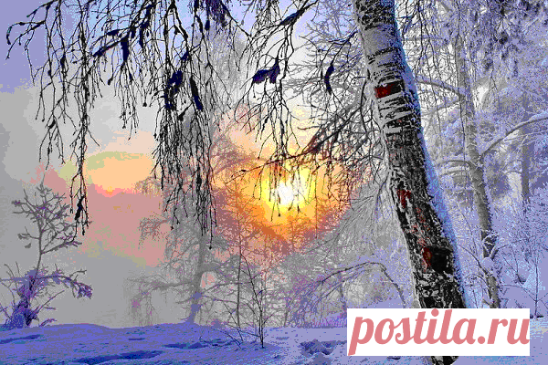 Доброе утро, Жизнь