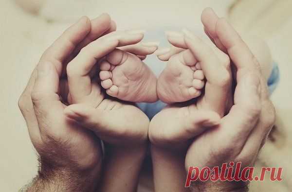 Словно чувствовал-я очень нужен!Я спешит видеть солнце, но пока только стены палаты, только толстый стекла и воздух стерильный. Мама, папа не бойтесь не надо!Я еще буду здоровый и сильный!Я вдохну запах хвои морозной и запах спелого лета, я услышу нетерпеливые волны прибоя как бьются о скалы, передовой мной вся планета, передовой мной Мир возможностей полный.А пока лишь приборы, да стены палаты, я рожден раньше срока, я торопился родиться, мама, папа не бойтесь не надо, вы еще будете мною гордит