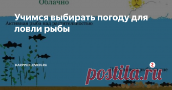 Учимся выбирать погоду для ловли рыбы У обычного человека при слове рыбалка возникает картина маслом: летнее теплое утро, ты сидишь в лодке с удочкой. Ветра нет, вокруг тишина и спокойствие. Полное слияние с природой. Почему же проезжая на машинах по мосту, мы часто видим сидящих рыбаков в любую погоду. И в дождь, и в ветер. Зачем эти люди идут в морозы на речку и мерзнут там у своих лунок. А главное, что за непонятный риск каждой вес