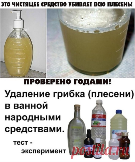 (2) Одноклассники
