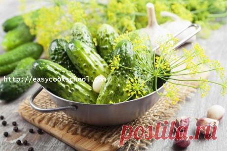 Малосольные огурцы: рецепт быстрого приготовления в кастрюле