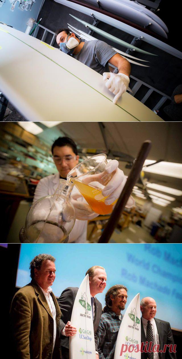 Первая доска для серфинга, сделанная из водорослей - Экологический дайджест FacePla.net