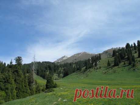 Panoramio - Photo explorer