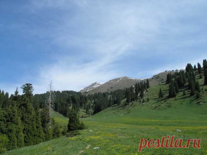 Panoramio - Photo explorer
