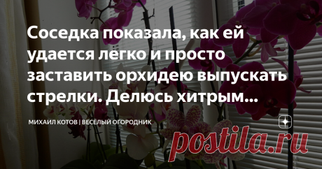 Соседка показала, как ей удается легко и просто заставить орхидею выпускать стрелки. Делюсь хитрым способом