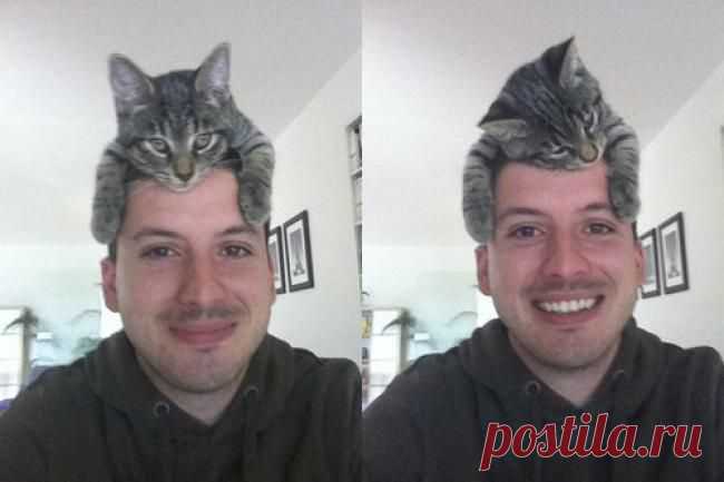 Котошапка 9