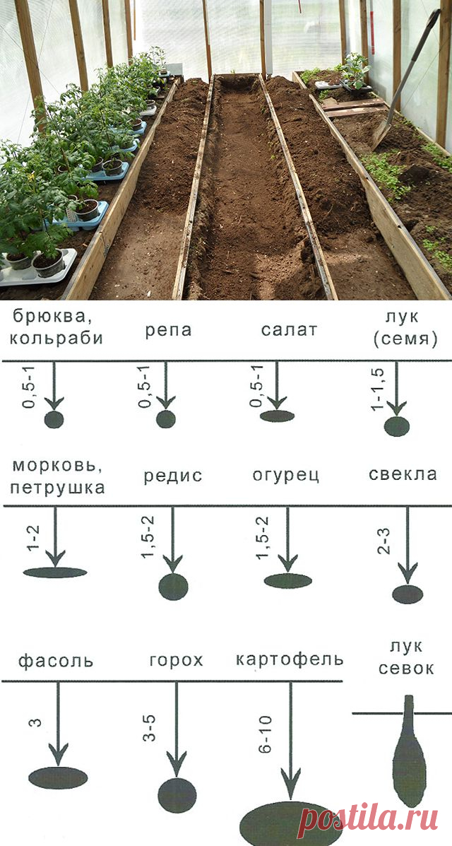 Весна в огороде. Краткие инструкции по сезонным работам | Дачный участок