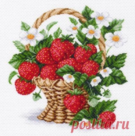 if1mYmo0M4U.jpg (498×500)