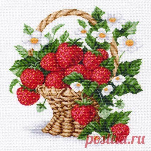 if1mYmo0M4U.jpg (498×500)