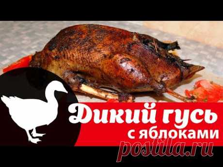 Дикий гусь, фаршированный яблоками в духовке: видео рецепт как приготовить целиком вкусно и быстро
