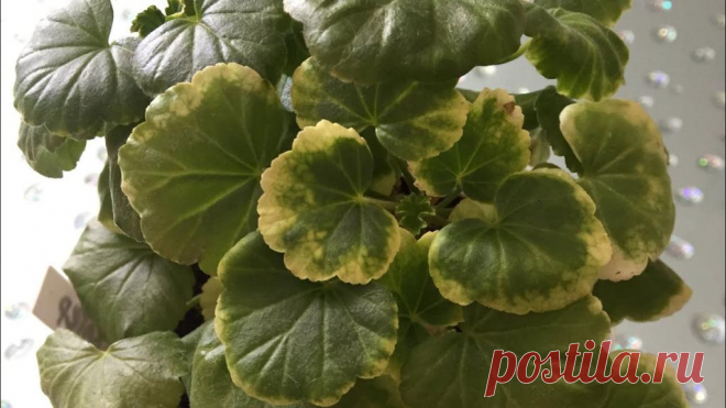 5 вещей, о которых хочет 