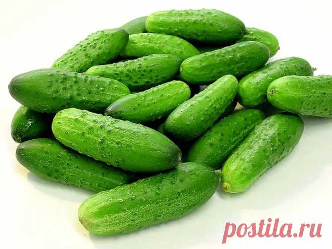 Топ-20 продуктов, сжигающих жиры и регулирующих обмен веществ