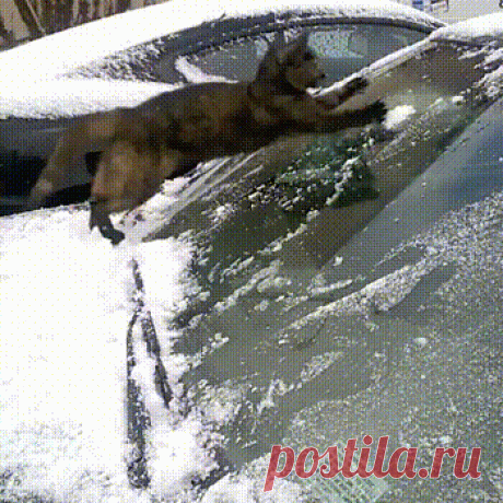 Google+