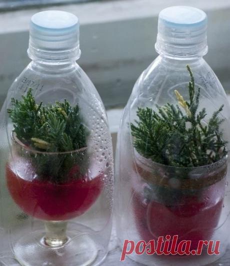 ВЫРАЩИВАЕМ ТУЮ ИЗ ЧЕРЕНКА.
В настоящее время в ландшафтном дизайне стало очень модно использовать хвойные растения. Они не прихотливы, вечно зеленые: круглый год на участке стоят зеленые красавицы и красавцы. Есть один минус: туя - дерево не из дешевых и многим оно не по карману. Цены колеблются от нескольких сот до нескольких тысяч рублей в зависимости от сорта и возраста растения. Поэтому можно попробовать вырастить свою тую. А если дело пойдет можно, то можно попробоват...