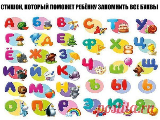 СТИШОК, КОТОРЫЙ ПОМОЖЕТ РЕБЁНКУ ЗАПОМНИТЬ ВСЕ БУКВЫ 
Аист жил у нас на крыше, 
А в подполье жили мыши. 
Бегемот разинул рот - 
Булку просит бегемот. 
Воробей влетел в окно, 
В кладовой клюет пшено. 
Гриб растет среди дорожки, 
Голова на тонкой ножке. 
Дятел жил в дупле пустом, 
Дуб долбил, как долотом. 
Ель на ежика похожа: 
Еж в иголках, елка тоже. 
Жук упал и встать не может, 
Ждет он, кто ему поможет. 
Звезды видели мы днем 
За рекою над Кремлем. 
Иней лег на ветви ели, 
Иглы за ночь побелел