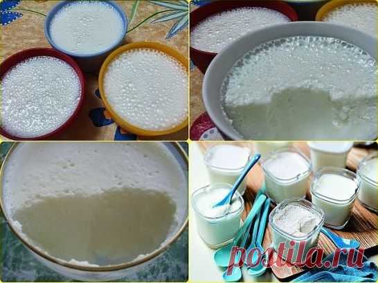 Молочный десерт для детей вместо мороженого