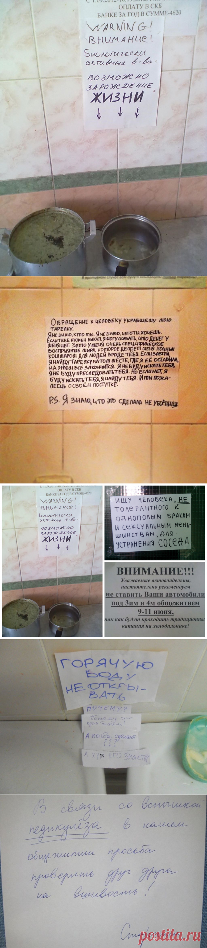 VUZZone - помощь студентам: контрольные, курсовые, дипломные: Объявления из студенческих общежитий, которые заставят вас улыбнуться