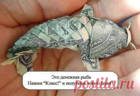 ДЕНЬГИ К ДЕНЬГАМ! ЖМИ
КЛАСС и ДЕНЬГИ ВСЕГДА БУДУТ
ВОДИТЬСЯ У ВАС В
КОШЕЛЬКАХ