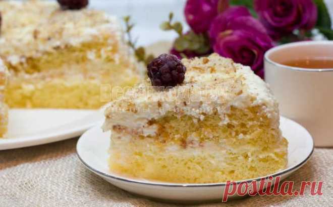 Бисквитный торт с творожным кремом | Все Блюда
