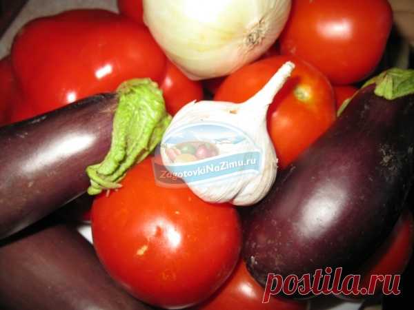 Аджика на зиму, вкусные рецепты.