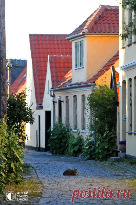 Симпатичная деревня с желтыми домиками - Драгёр - Путешествуем вместе