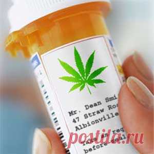 Медицинская марихуана может привести к сокращению использования опиатов и других фармо-наркотиков - Blog