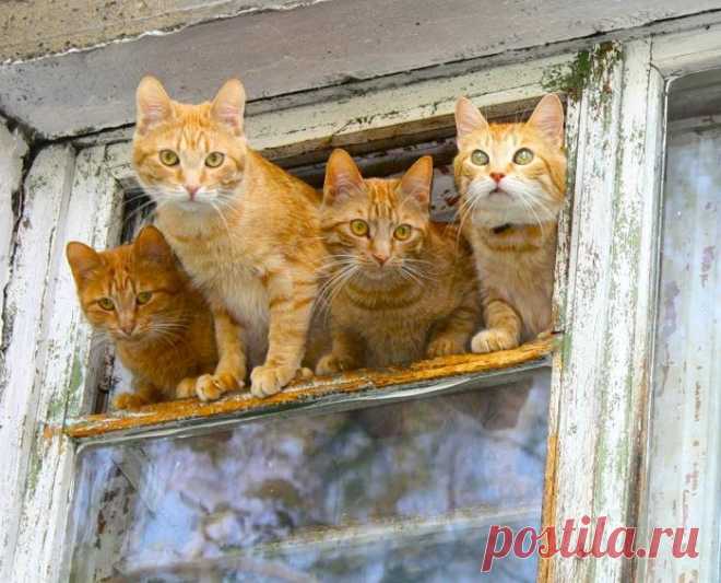 Поцелованные солнцем!)