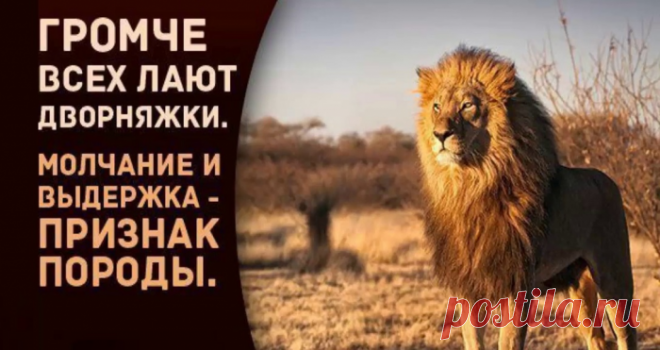 Если женщина переходит на личности и оскорбления