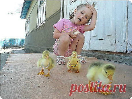 Когда куклы надоели)))