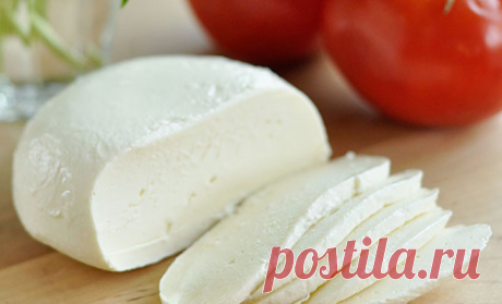 Взяли 2 литра молока и сделали 5 видов сыра