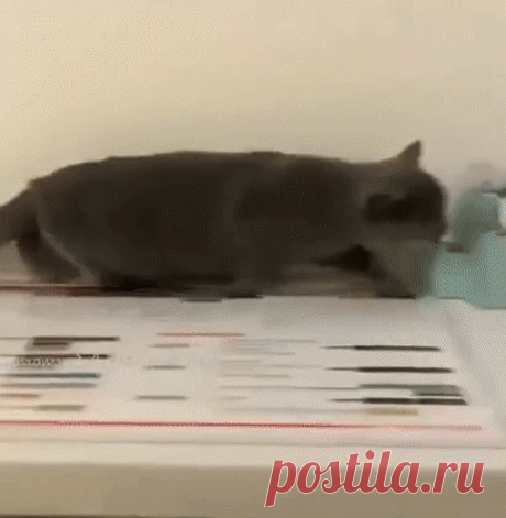 Когда пришли гости с детьми