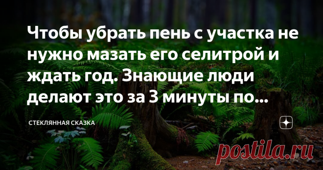 Чтобы убрать пень с участка не нужно мазать его селитрой и ждать год. Знающие люди делают это за 3 минуты по методу Циолковского До недавнего времени я был твёрдо убеждён, что главными врагами всех садоводов  дачников являются сорняки и всякая живность, которая вместо хозяев повадилась кушать урожай.  Ничего подобного! Самый страшный враг - пень. И ладно если дерево небольшое, например, вишня, походишь с лопатой вокруг него, выроешь ямку размером с кратер небольшого вулкан...