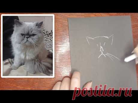 Нарисовала кота Филимона - YouTube