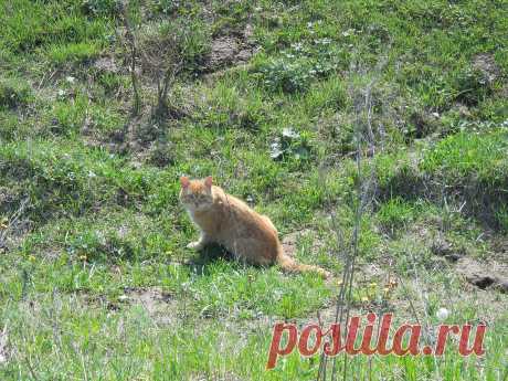 Фото Без названия. Альбом Мир,в котором я живу... - 132 фото. Фотографии Сергей Мартынов.