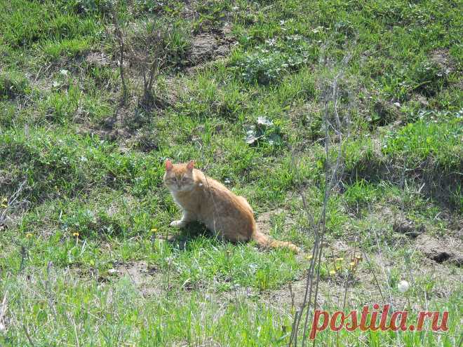 Фото Без названия. Альбом Мир,в котором я живу... - 132 фото. Фотографии Сергей Мартынов.