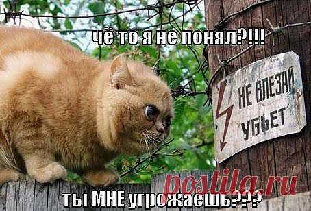 Фото@Mail.ru: *Убойный юмор* *2013* : Без названия