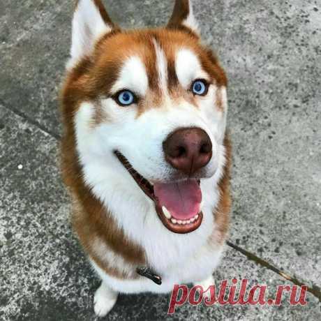 (91) Facebook
