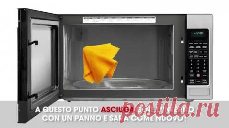 10 oggetti che abbiamo sempre pulito in modo sbagliato Sei sicuro di aver sempre pulito questi oggetti nel modo corrretto?