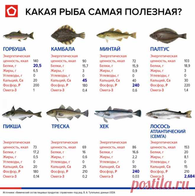 Какая рыба дешевая и очень полезная, рассказали в Роскачестве - МК Волгоград