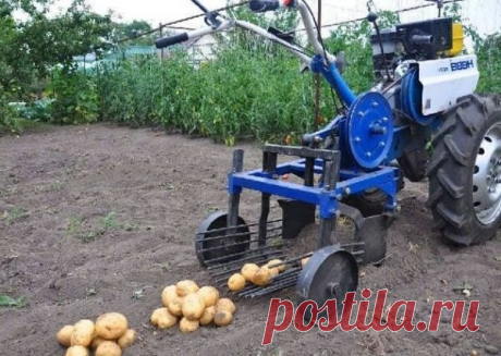Обзор грохотных картофелекопалок для мотоблоков.🥔 | Про мототехнику🛠 | Яндекс Дзен