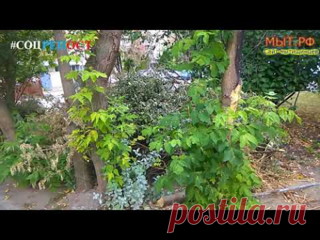 Мусорки дома 49 корпус 2, 3, 4 #Мытищи #Новомытищинский #дом49