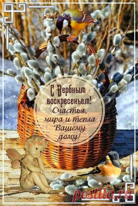 В необыкновенном настроении
Просыпайся в вербное воскресенье.
Пусть улыбка счастье предрекает
И вокруг светлее будто станет!