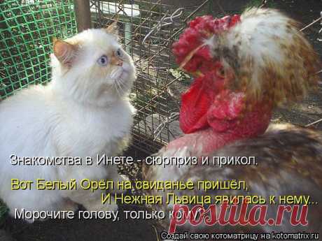 Интересные новости