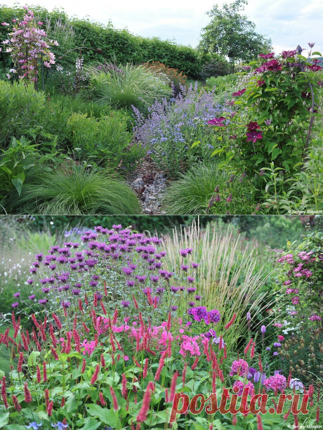 Как сделать красивый цветник: 4 полезных приема | Сады и цветы | Яндекс Дзен