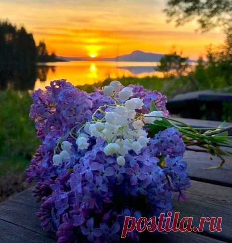 ༺🌸༻Я дарю тебе эту весну,
Выйди на улицу и бери ее всю...